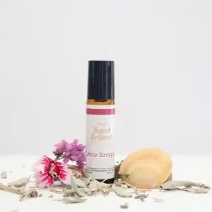 Sand and Seed Collection - Little Snapper