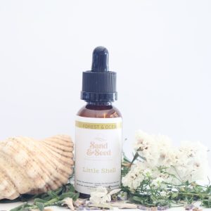 Sand and Seed Collection - Little Shell